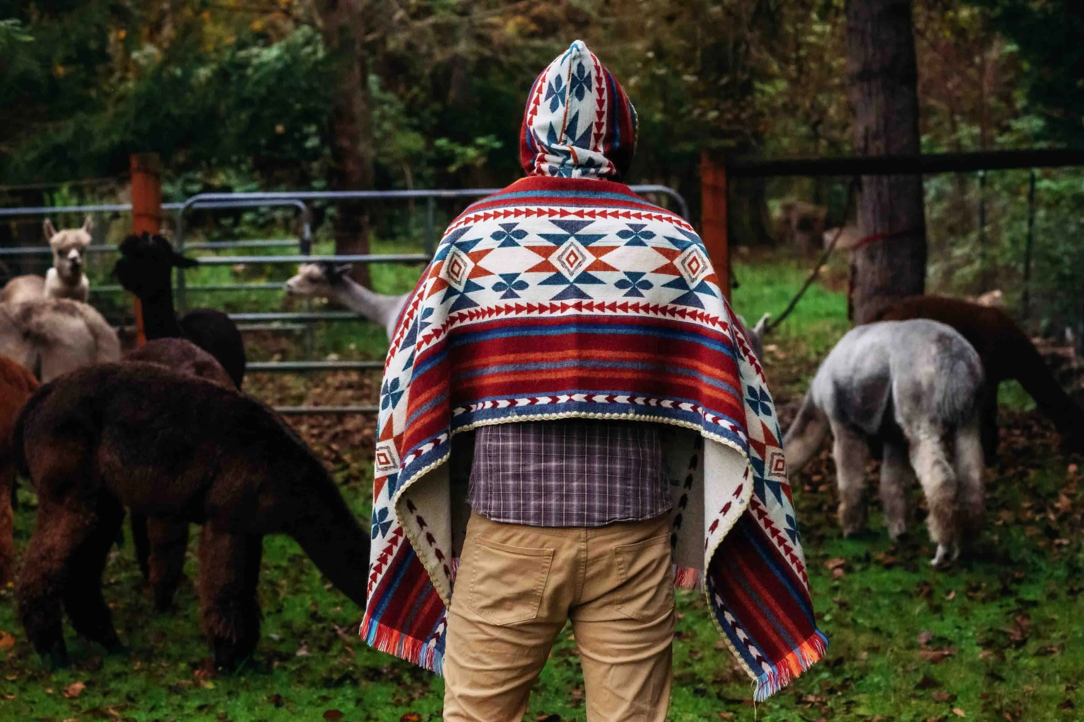 Arequipa - Landscape - Hooded Shawl - Alpaca Shawl Poncho