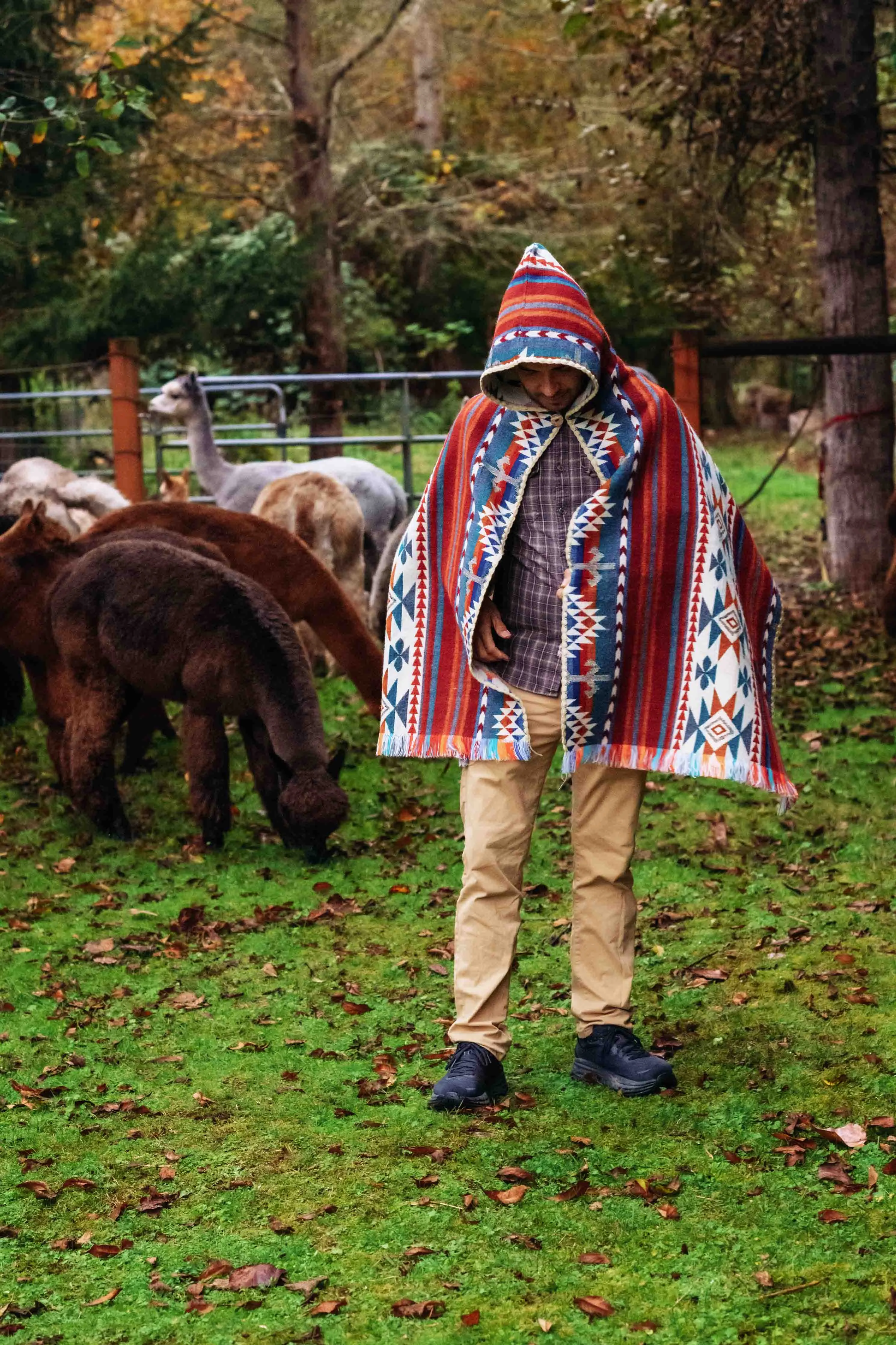 Arequipa - Landscape - Hooded Shawl - Alpaca Shawl Poncho