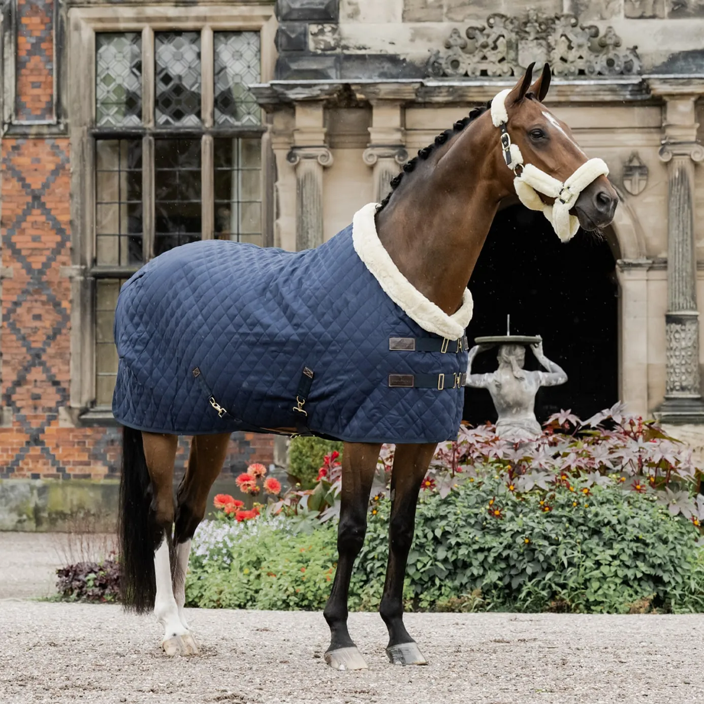 Kentucky Horsewear Show Rug - Navy