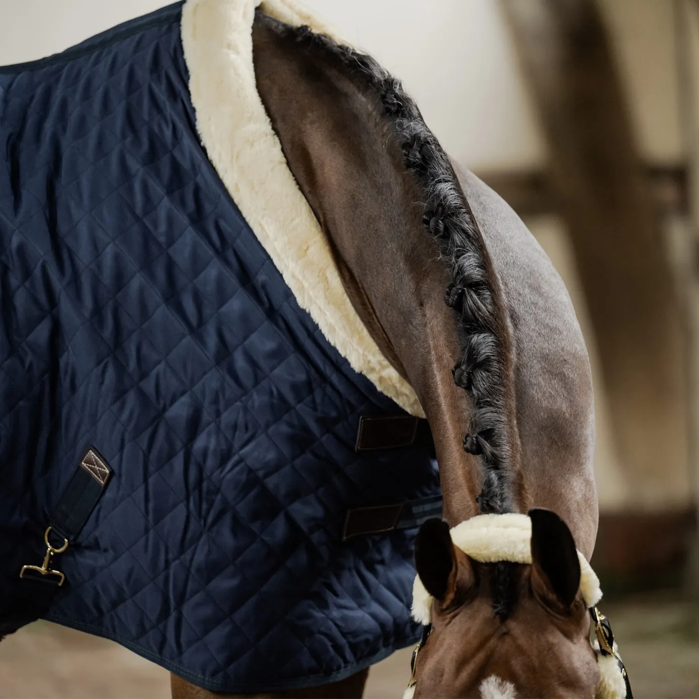 Kentucky Horsewear Show Rug - Navy