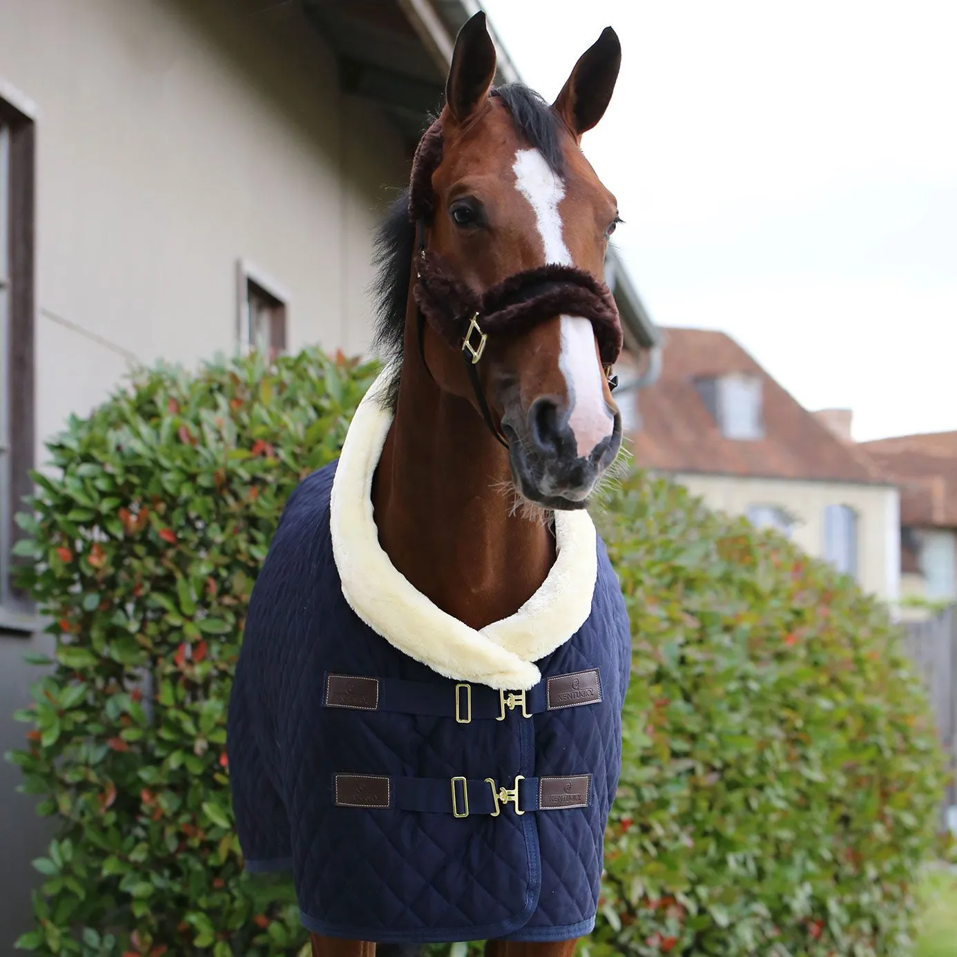 Kentucky Horsewear Show Rug - Navy