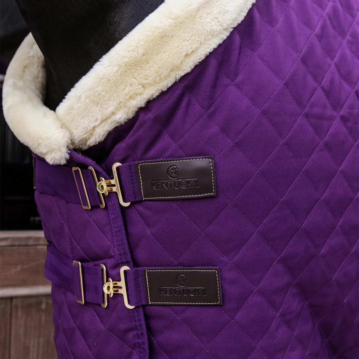 Kentucky Horsewear Show Rug - Purple