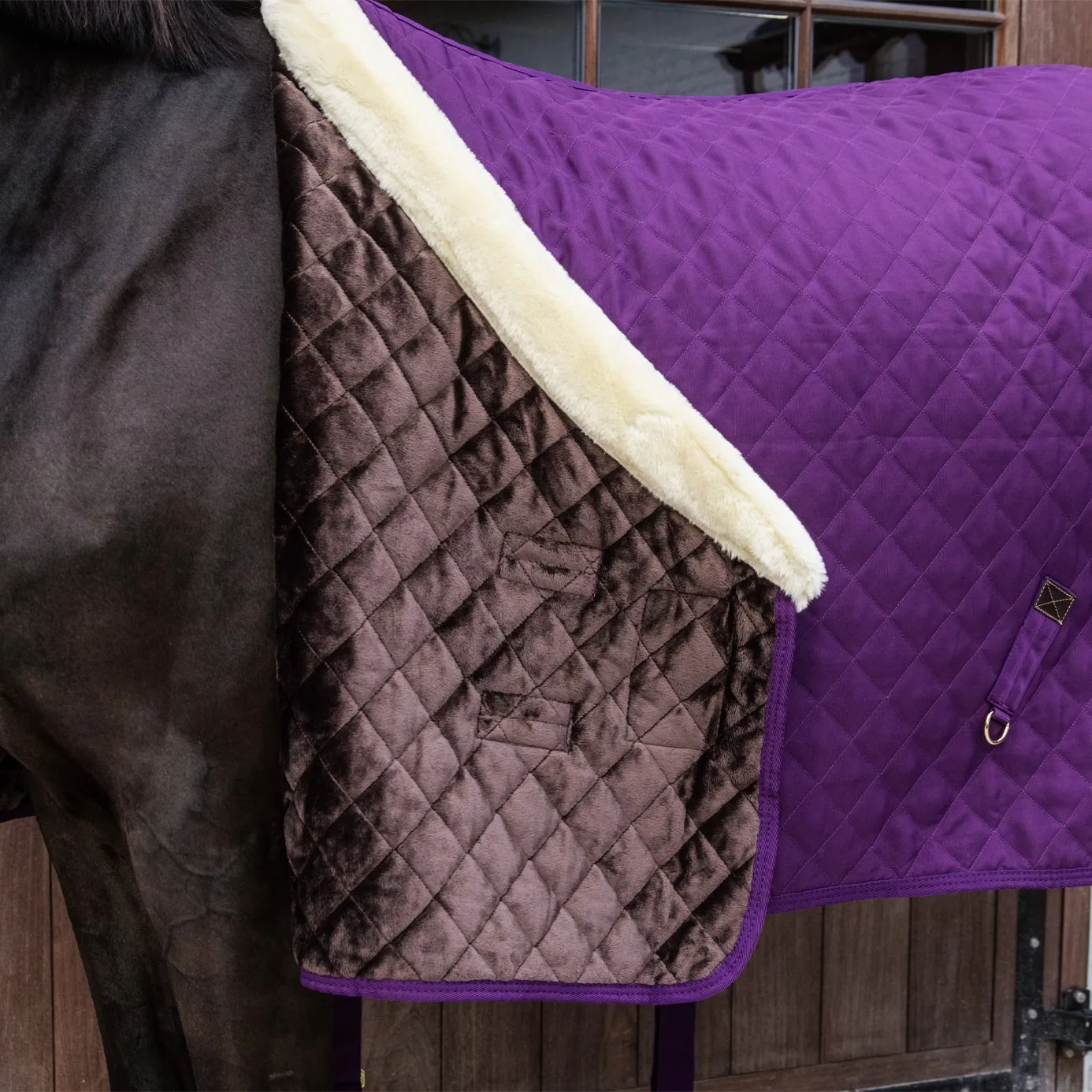 Kentucky Horsewear Show Rug - Purple