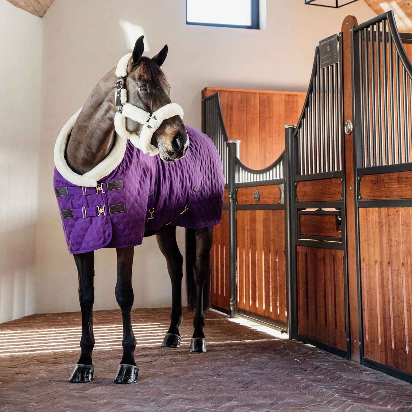 Kentucky Horsewear Show Rug - Purple