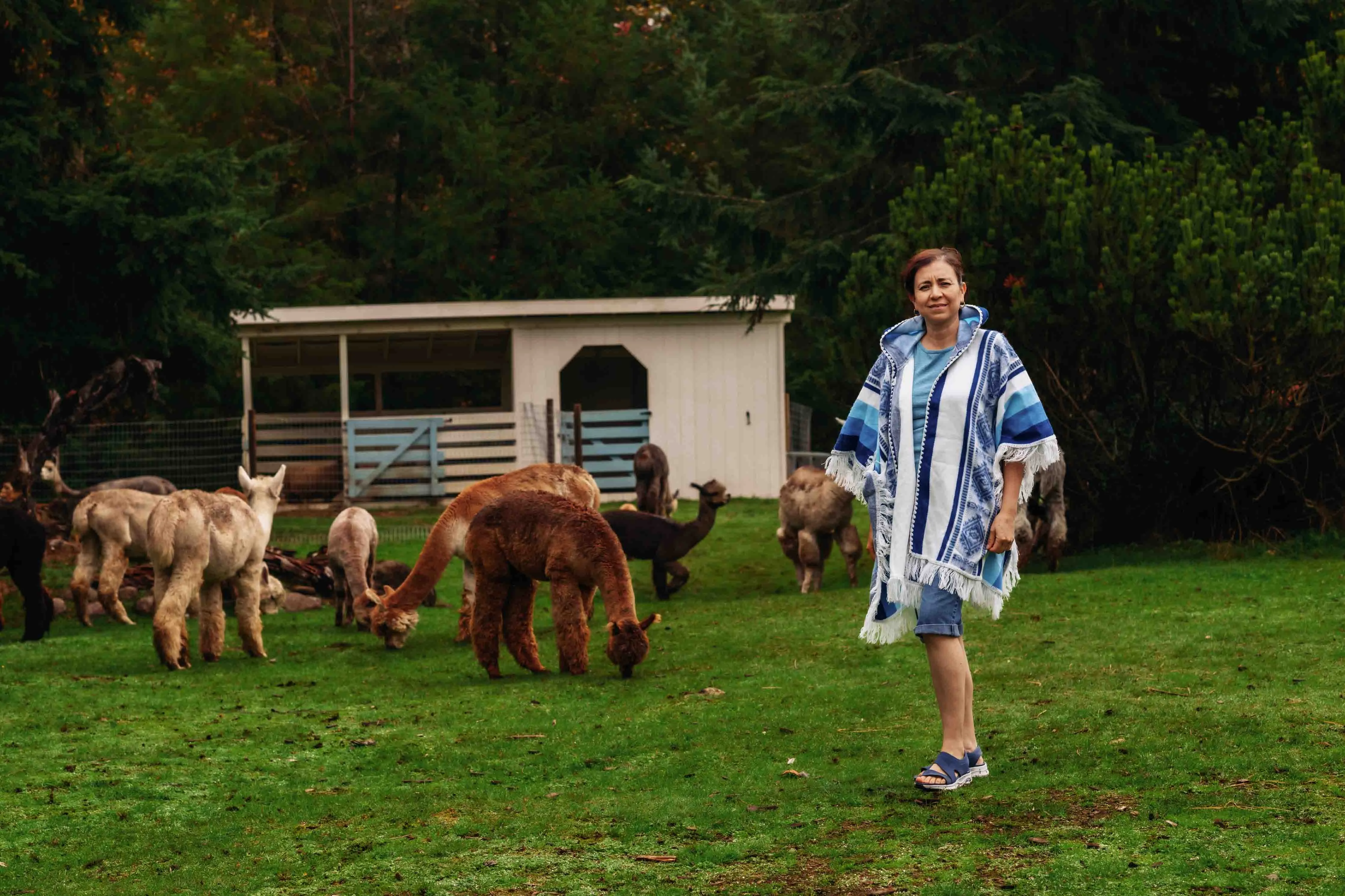 Misti - Sky - Alpaca Shawl Poncho