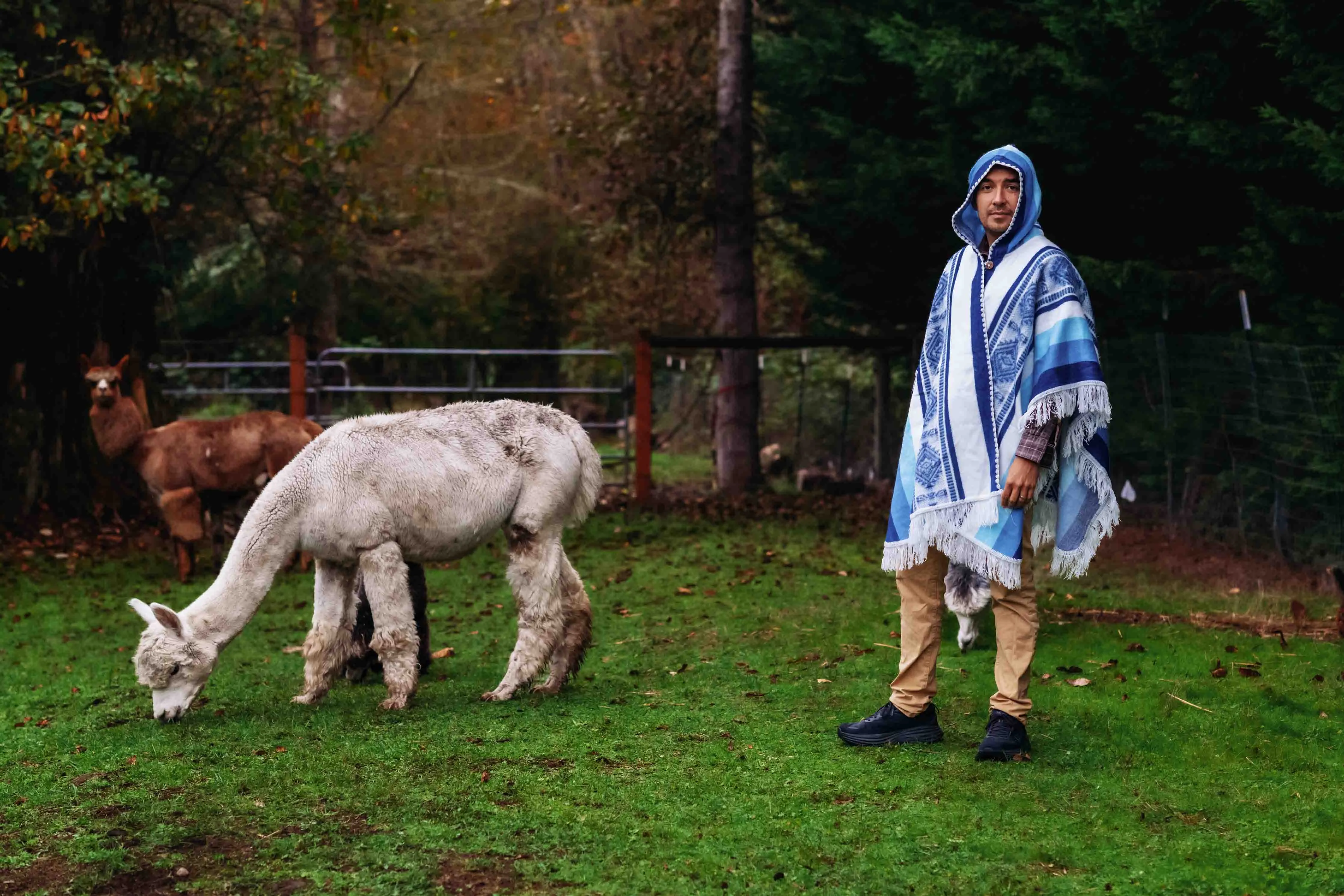 Misti - Sky - Alpaca Shawl Poncho