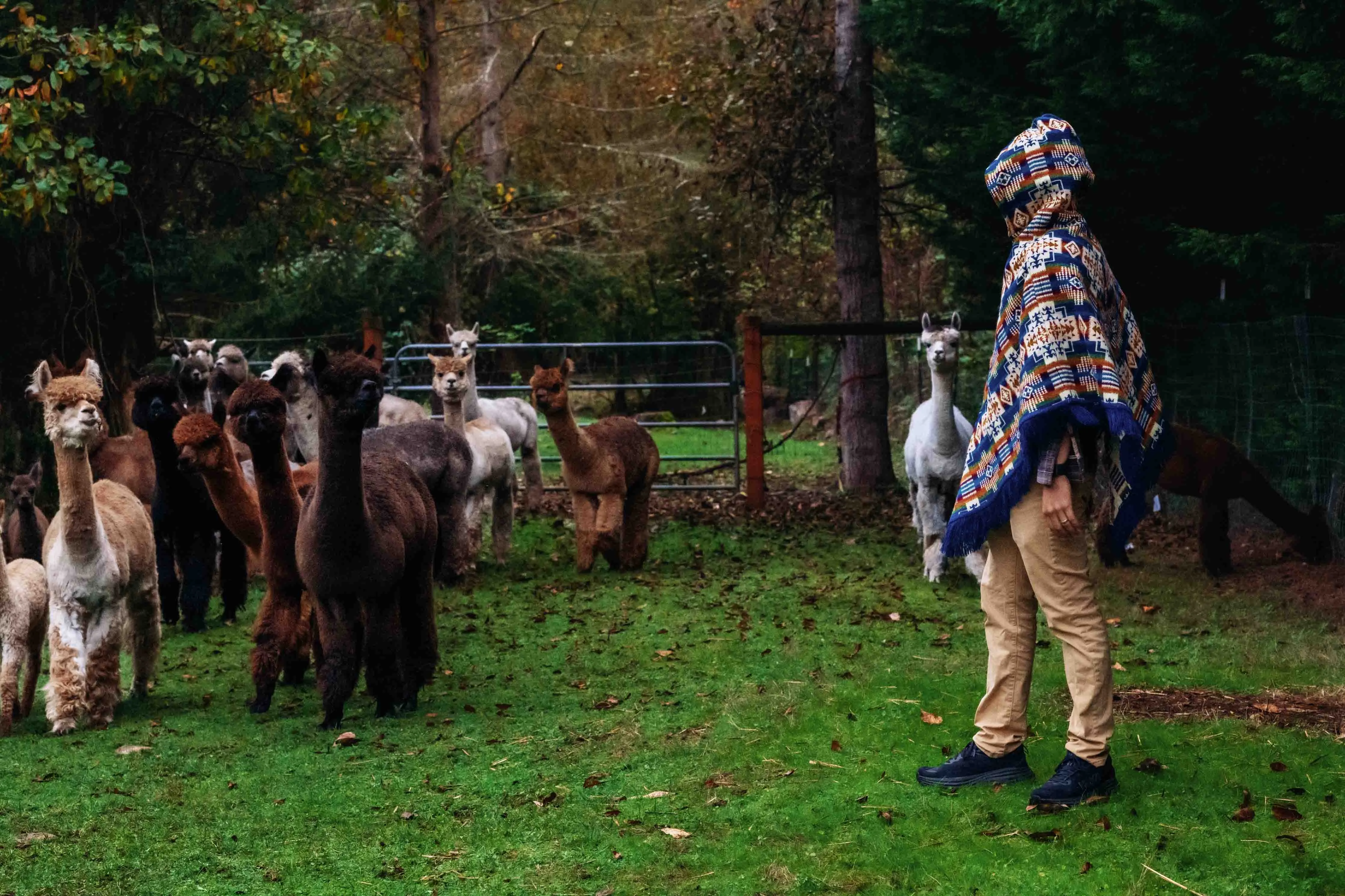 San Borja - Blue Rainbow - Alpaca Poncho with Native Pattern Triangular Design