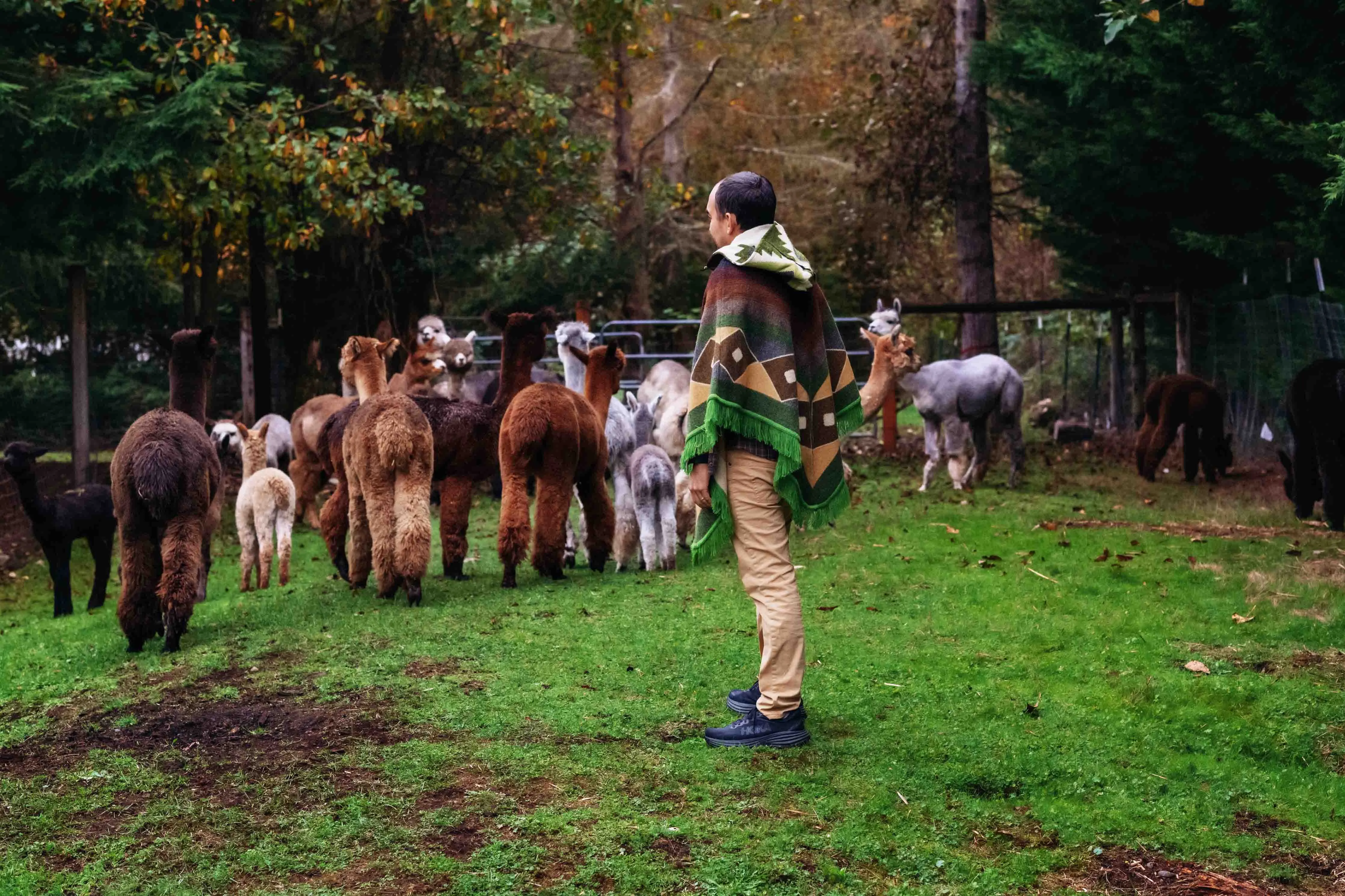 San Isidro - Oasis - Alpaca Poncho with Native Pattern Triangular Design