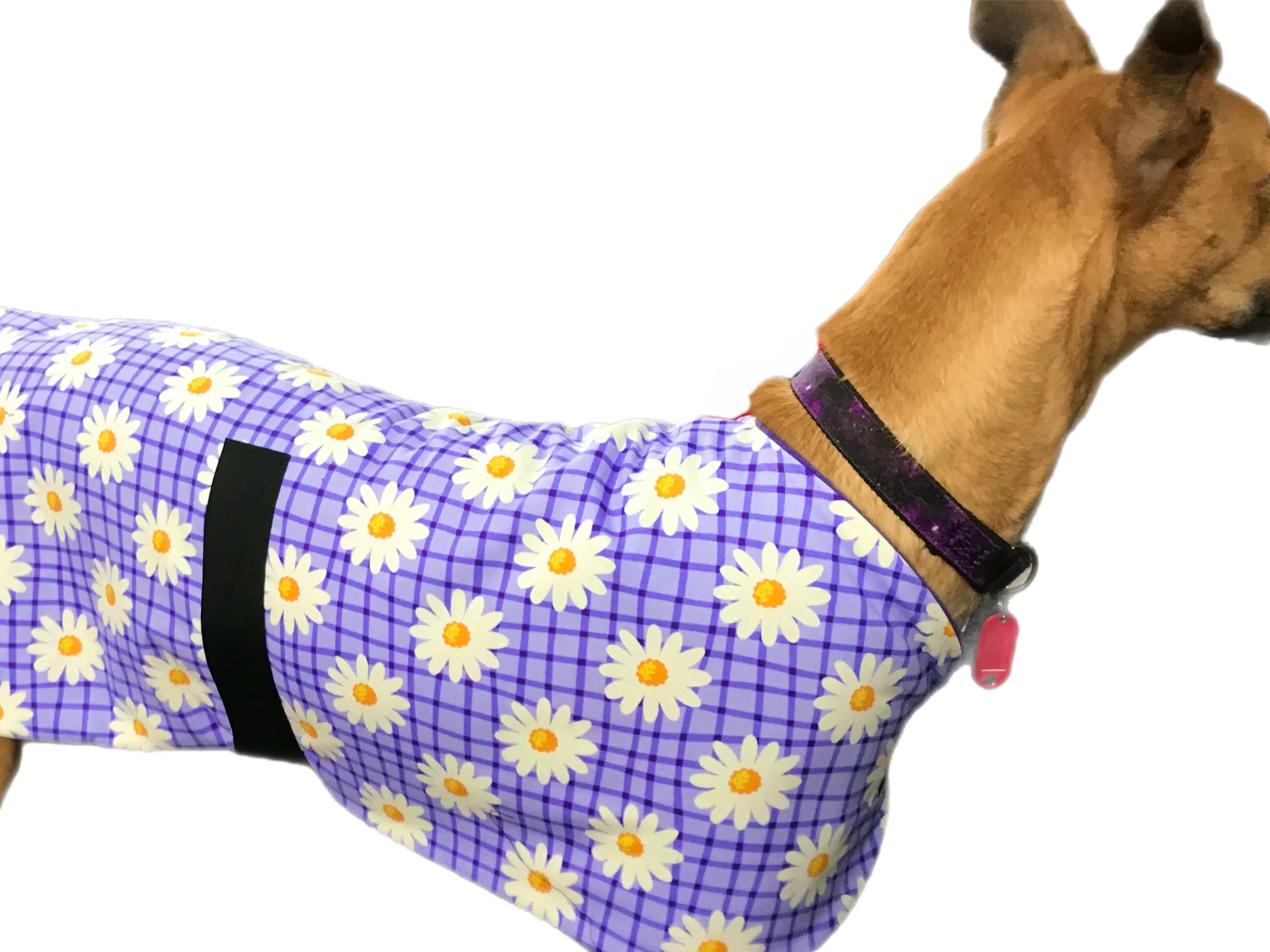 Spring range greyhound classic style Greyhound ‘purple daisy’ coat in cotton & lighweight fleece washable