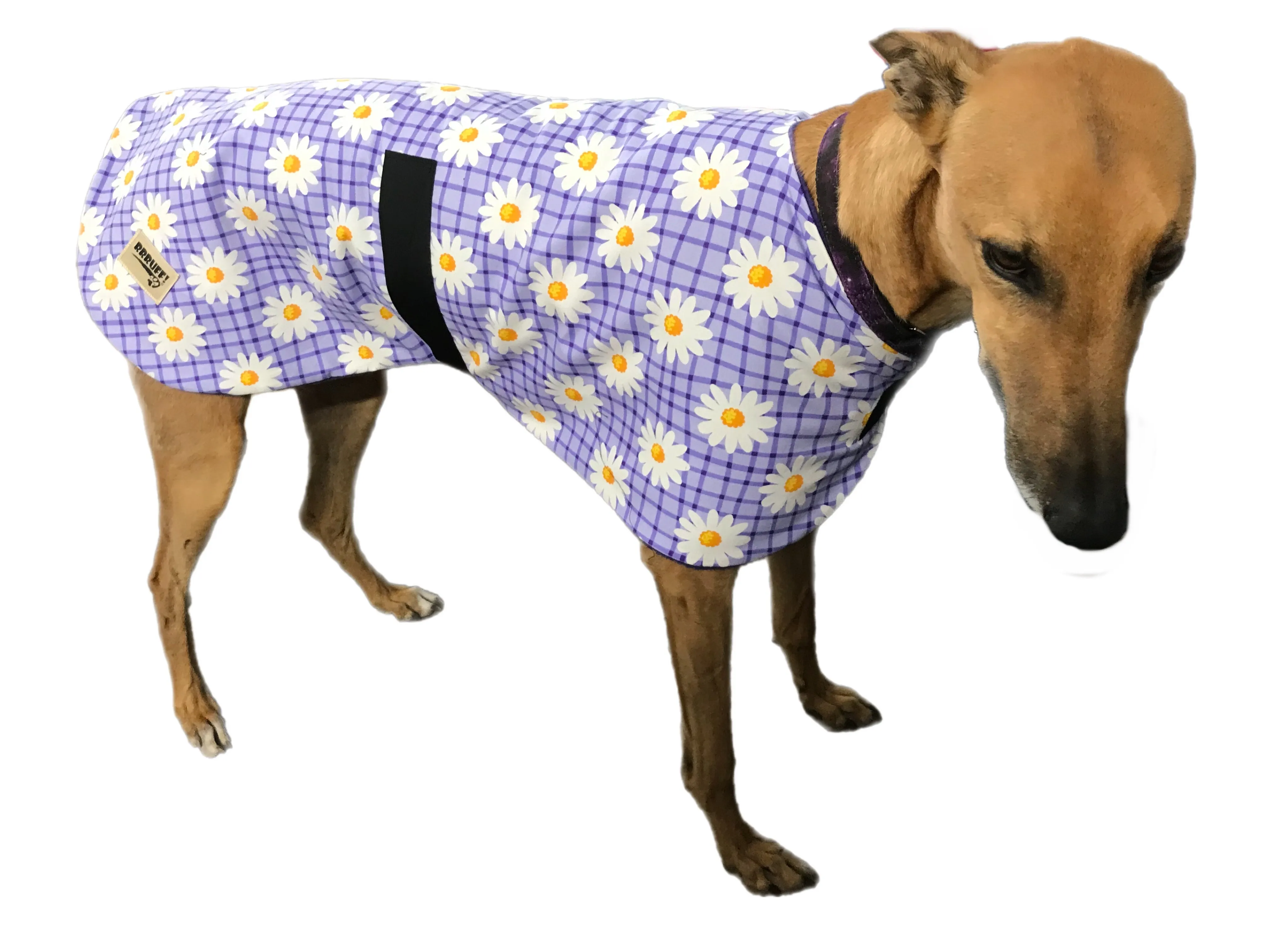 Spring range greyhound classic style Greyhound ‘purple daisy’ coat in cotton & lighweight fleece washable