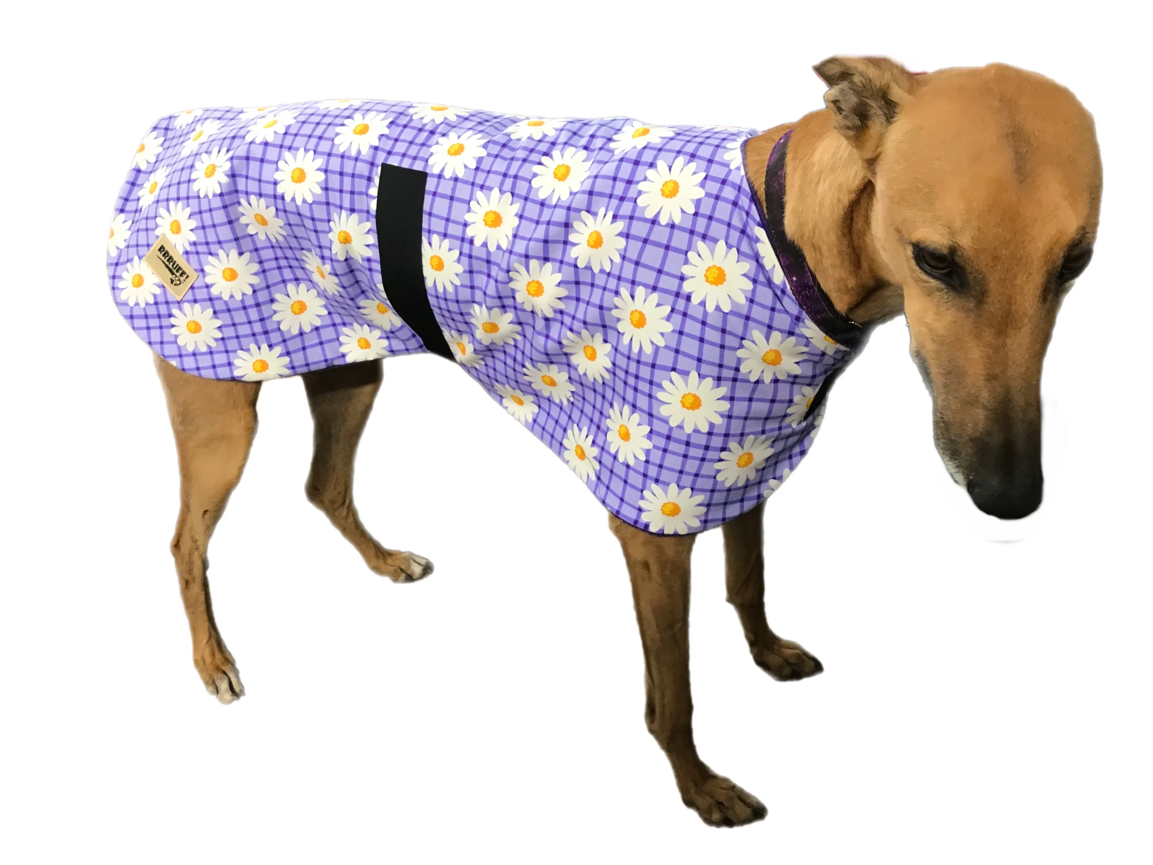 Spring range greyhound classic style Greyhound ‘purple daisy’ coat in cotton & lighweight fleece washable