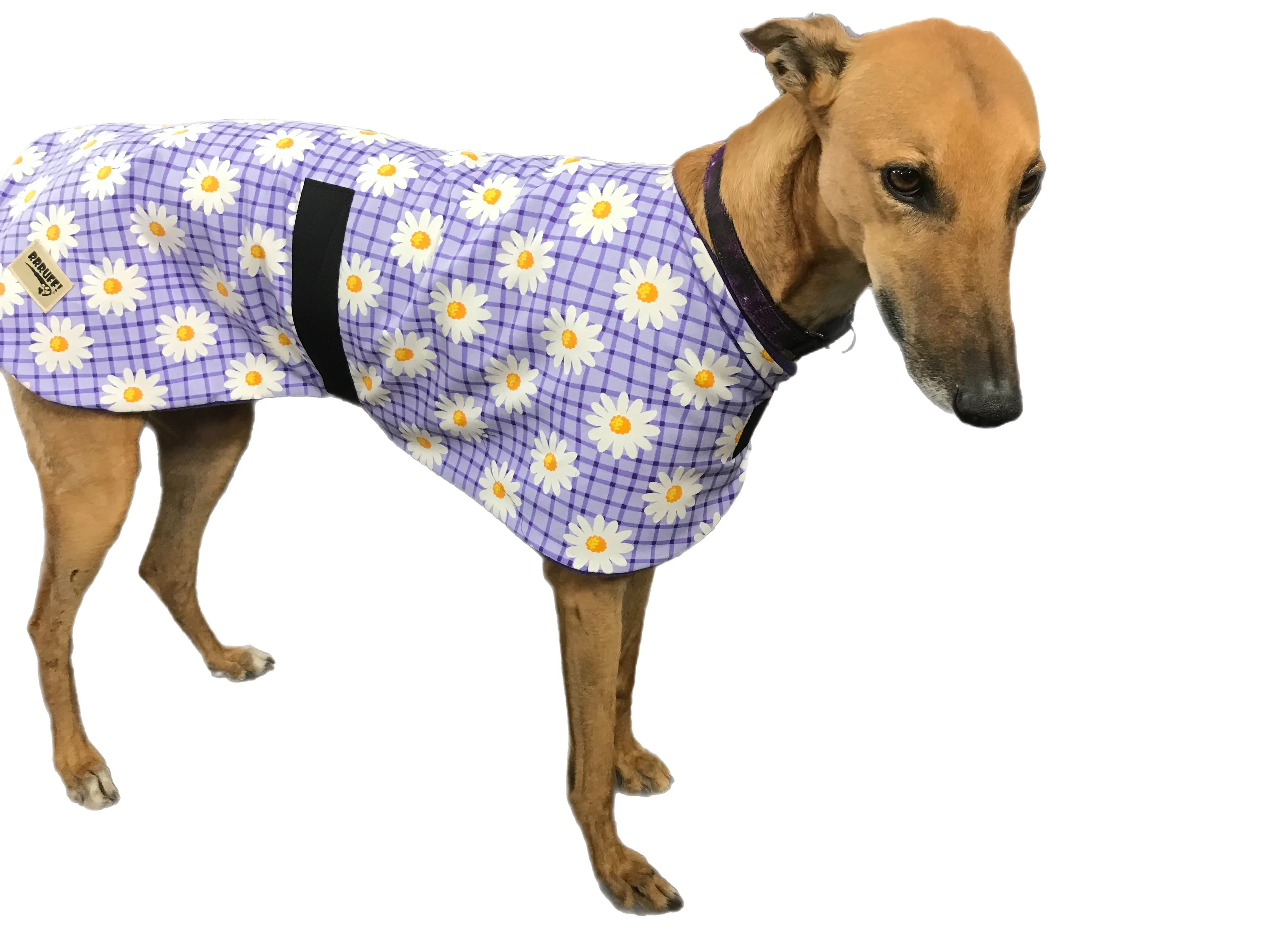 Spring range greyhound classic style Greyhound ‘purple daisy’ coat in cotton & lighweight fleece washable