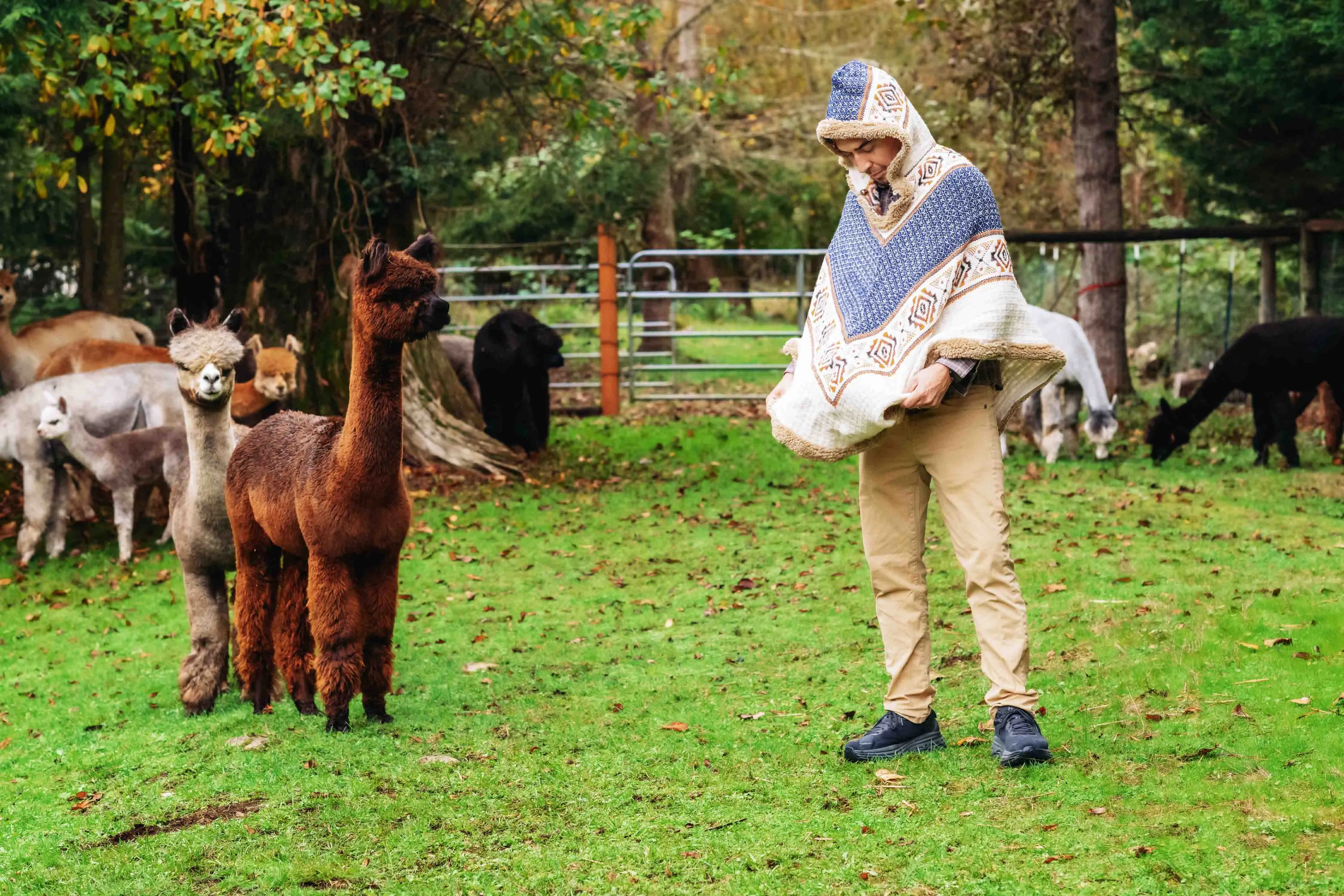 The Inca King - Natural - Alpaca Ruana Poncho with Native Pattern Triangular Design