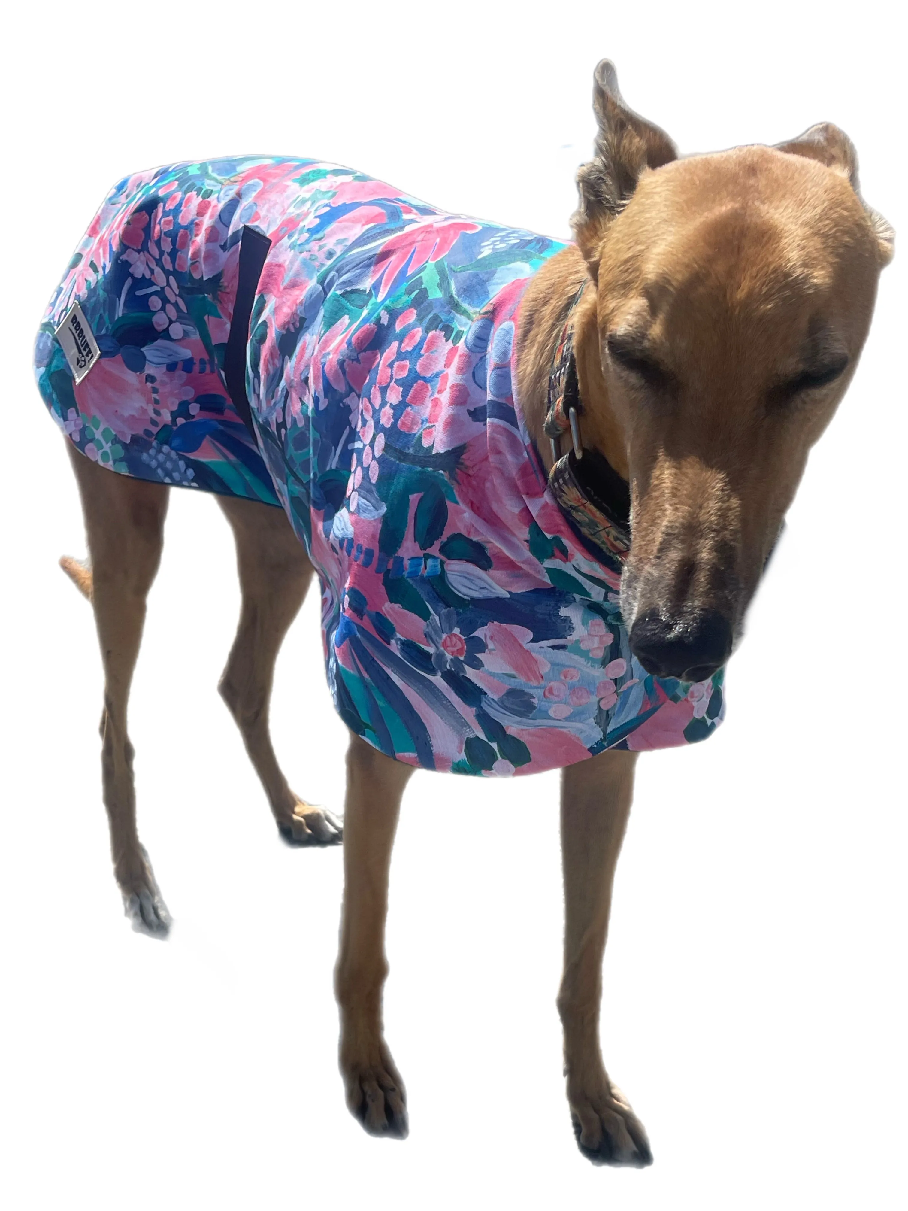 Water colors Spring/Autumn range classic style Greyhound coat in cotton & fleece washable