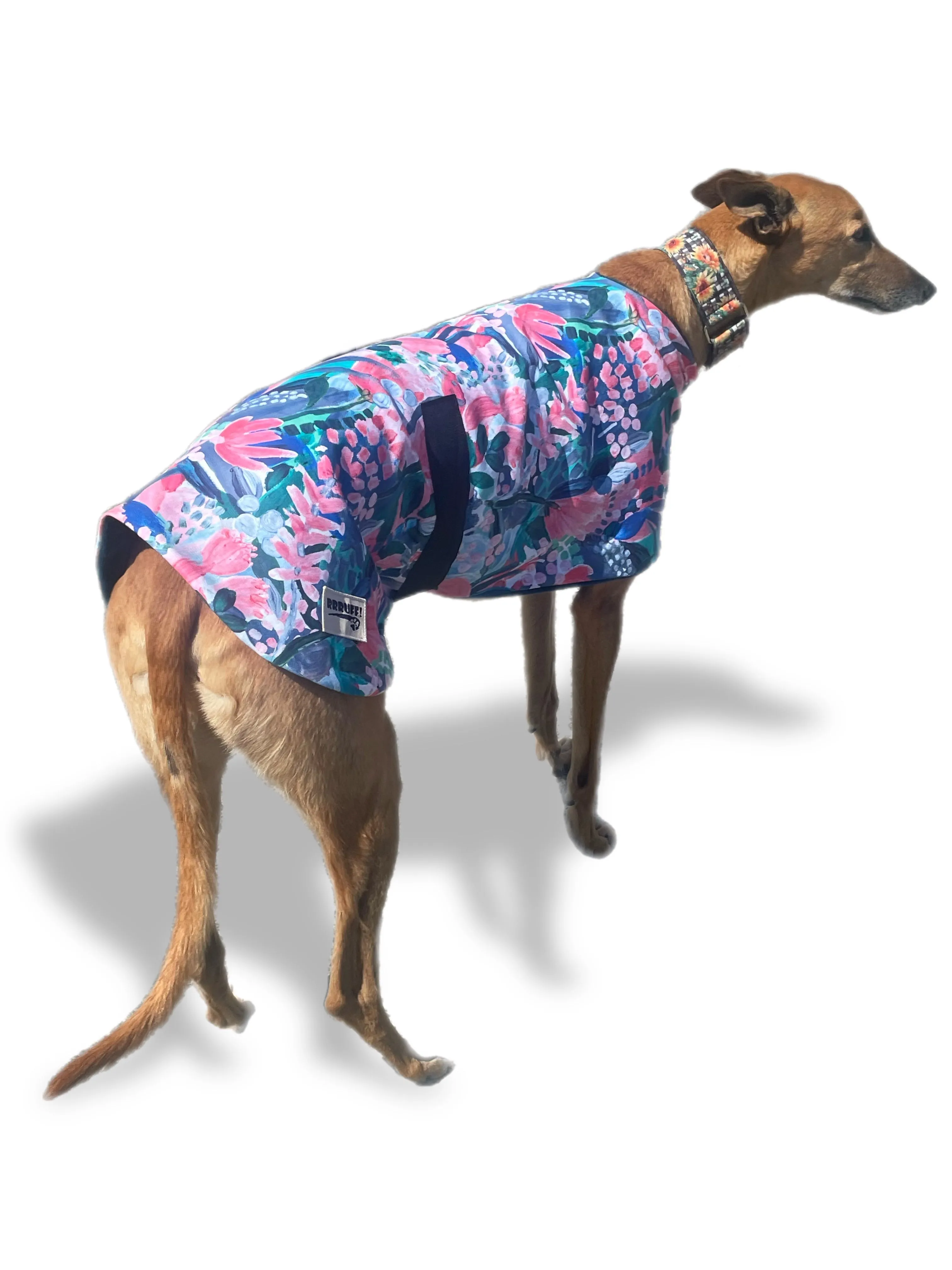 Water colors Spring/Autumn range classic style Greyhound coat in cotton & fleece washable