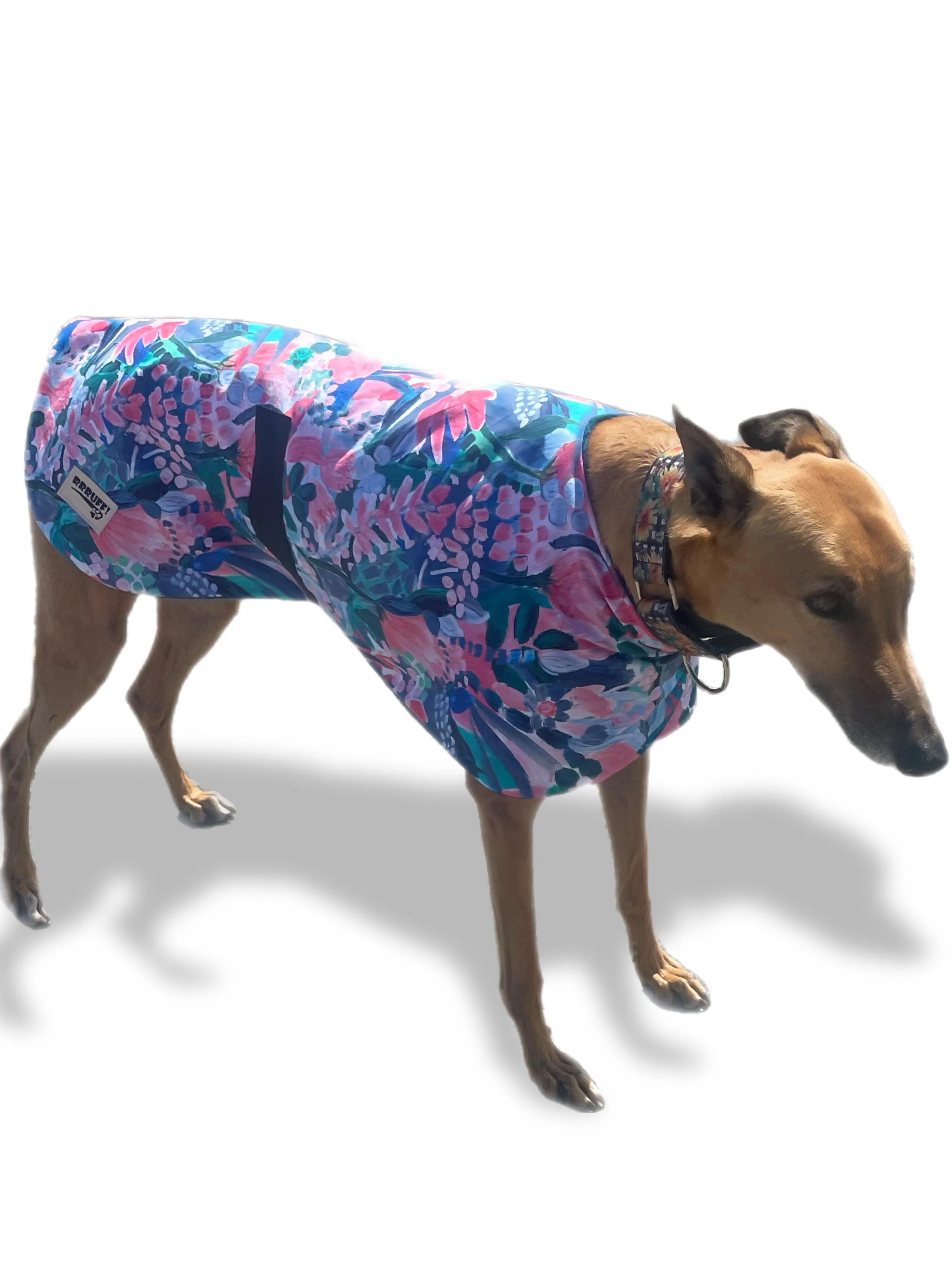 Water colors Spring/Autumn range classic style Greyhound coat in cotton & fleece washable