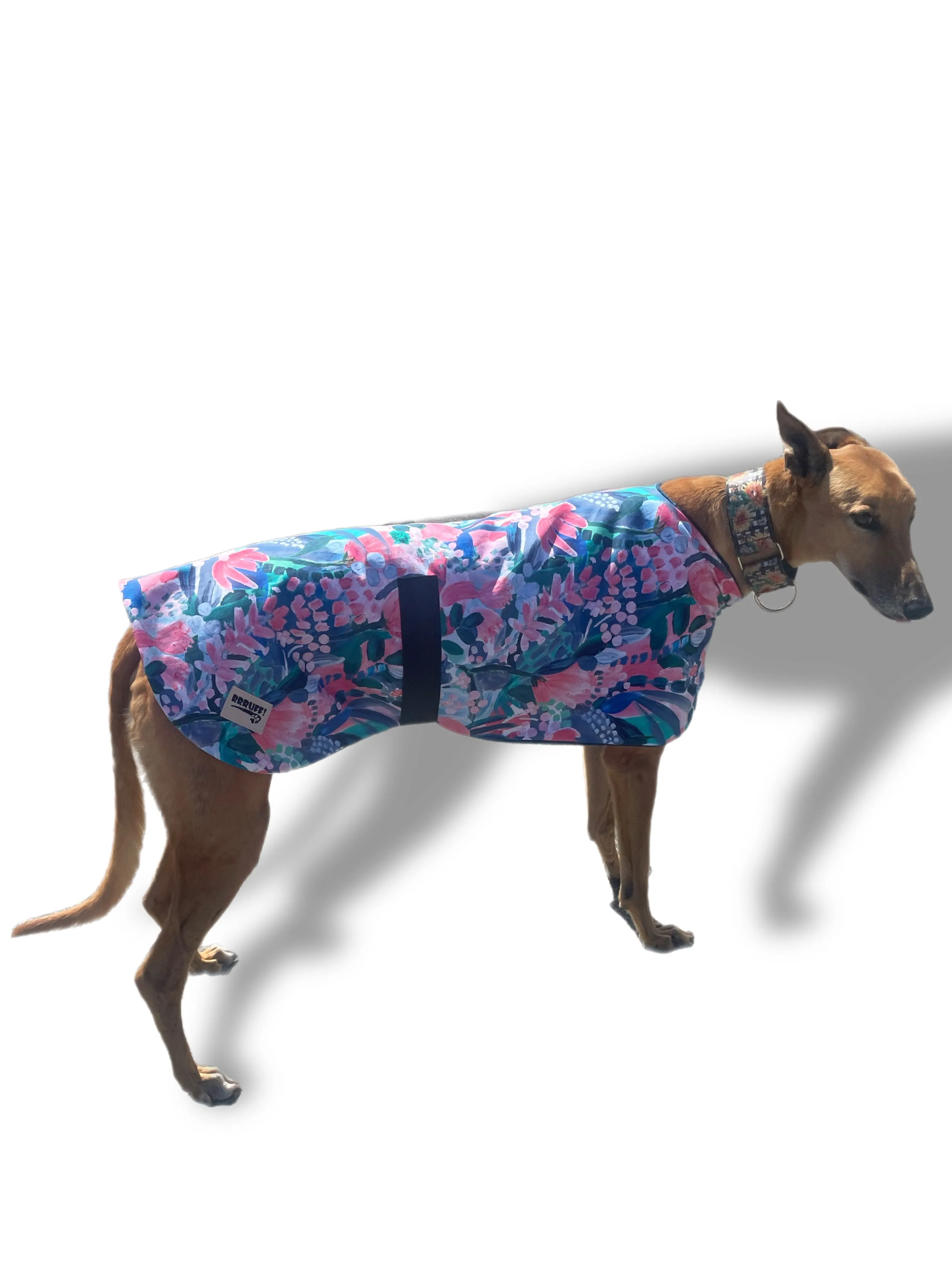 Water colors Spring/Autumn range classic style Greyhound coat in cotton & fleece washable